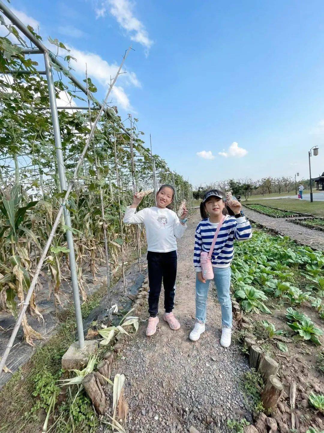 程文萱,江苏南京仇艺涵,江苏扬州凡凡,浙江嘉兴陈彦然,陈彦霖,江苏