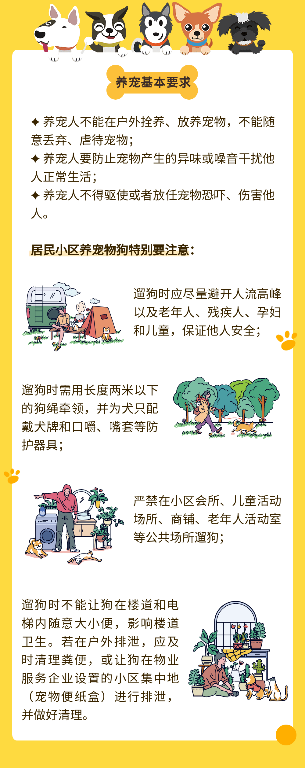 小区狗伤人没人管?南海在全国首发文明养宠标准!