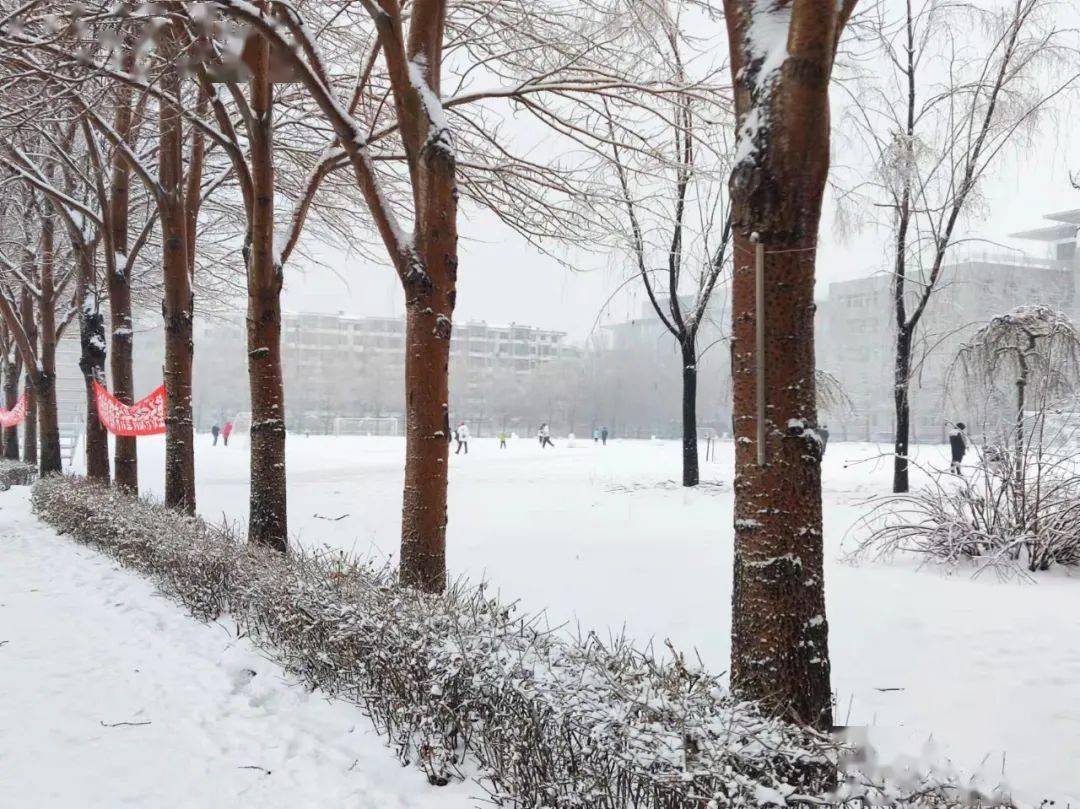 吉林工商学院雪景图片