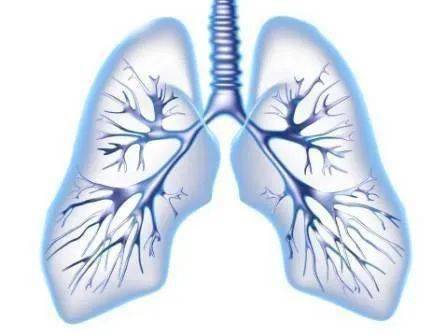 感染者|午后低热 咳嗽 小心结核病找上你