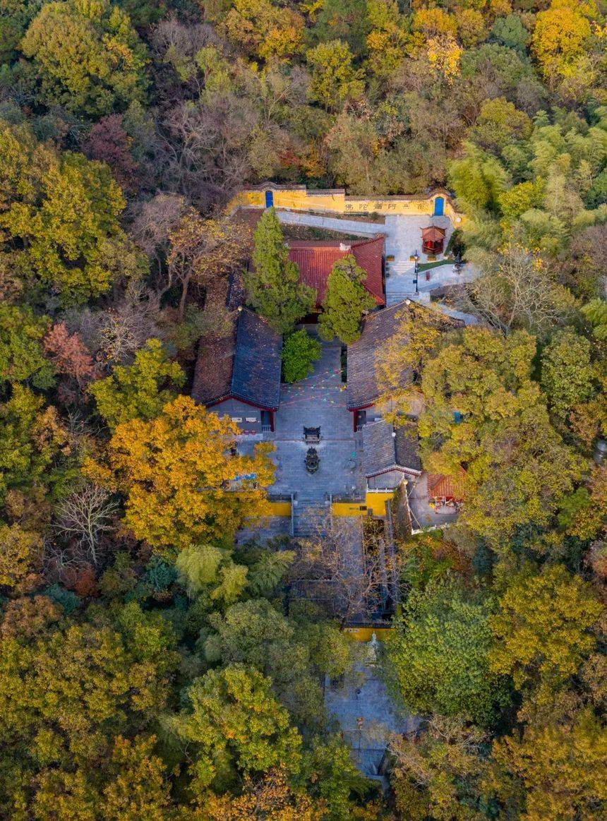 路高家库龙泉寺花神湖公园提起雨花之美就不得不说雨花滨江风貌长江
