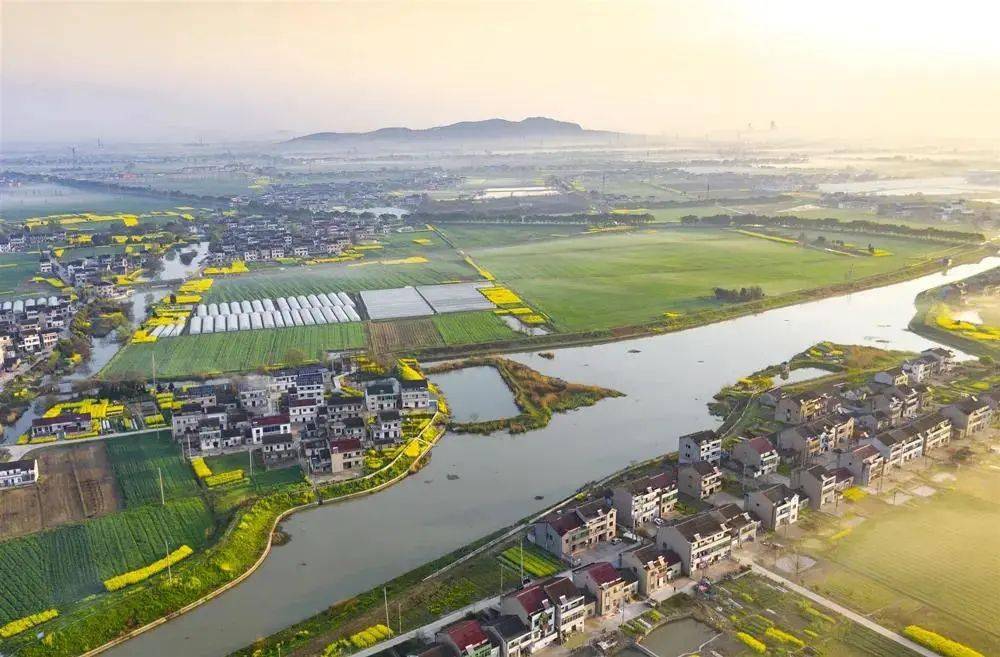 埭头镇奋进新征程展现新作为努力厚植绿色现代化发展基底