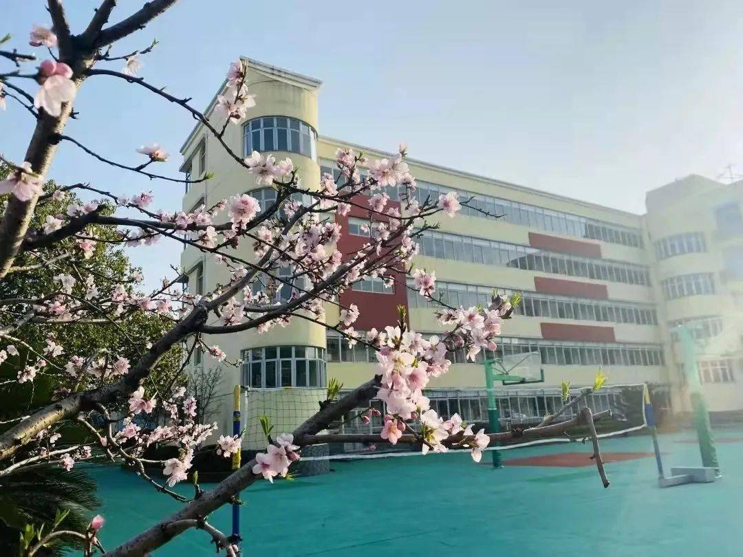 喜报长桥中学正式加入南模教育集团