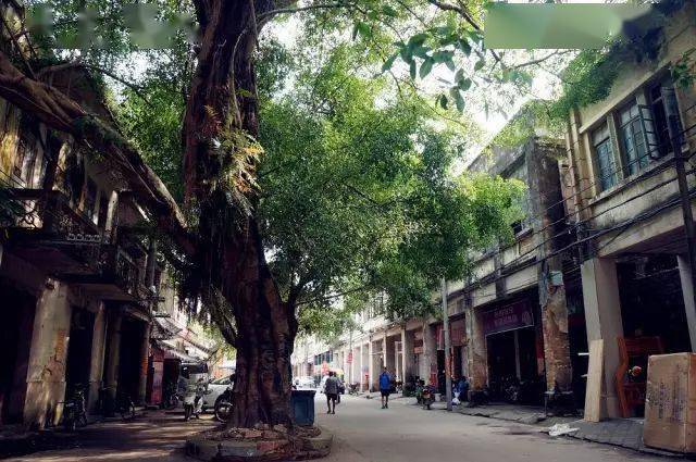 这里是飞来峡镇!一个越变越美的地方!