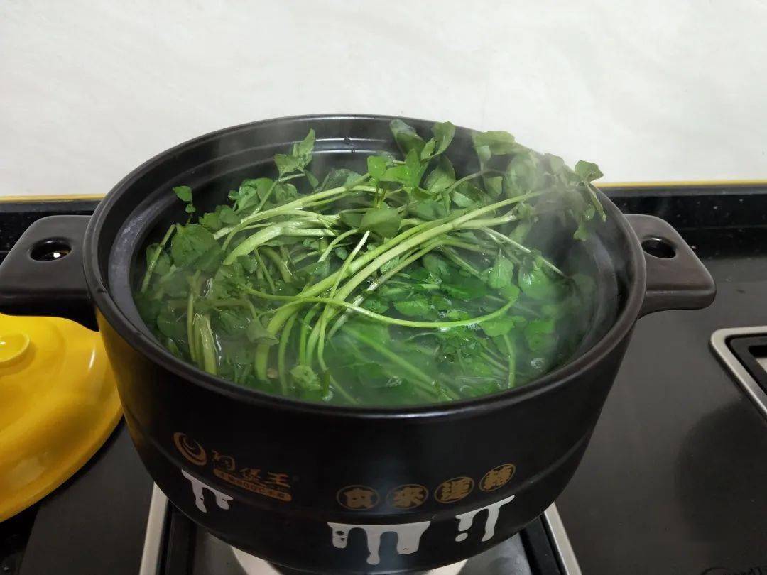 老广冬季最爱的绿叶菜煲起汤来特别香!