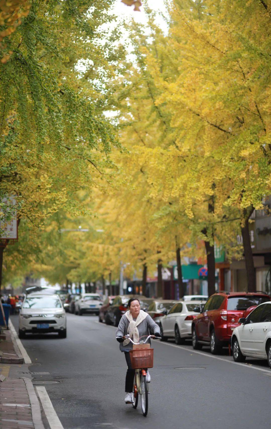 秋冬的宜兴美成了阳羡