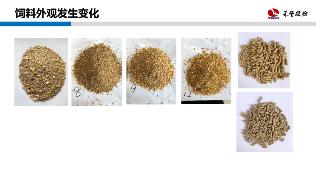 0dd5b0017cd447fa845ea0170e601972.png