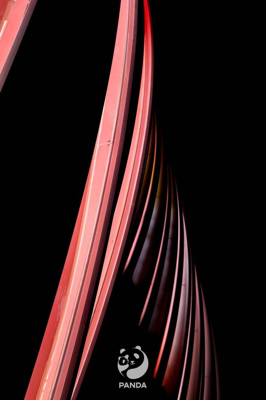 准备好了 所谓春笋 蓄势而待发 熊猫基地 成都 弧形