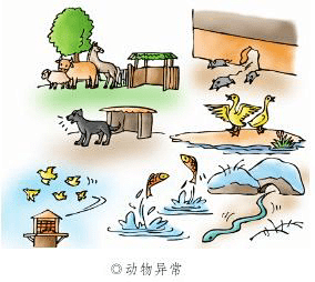 为什么说不能仅凭宏观异常预测地震