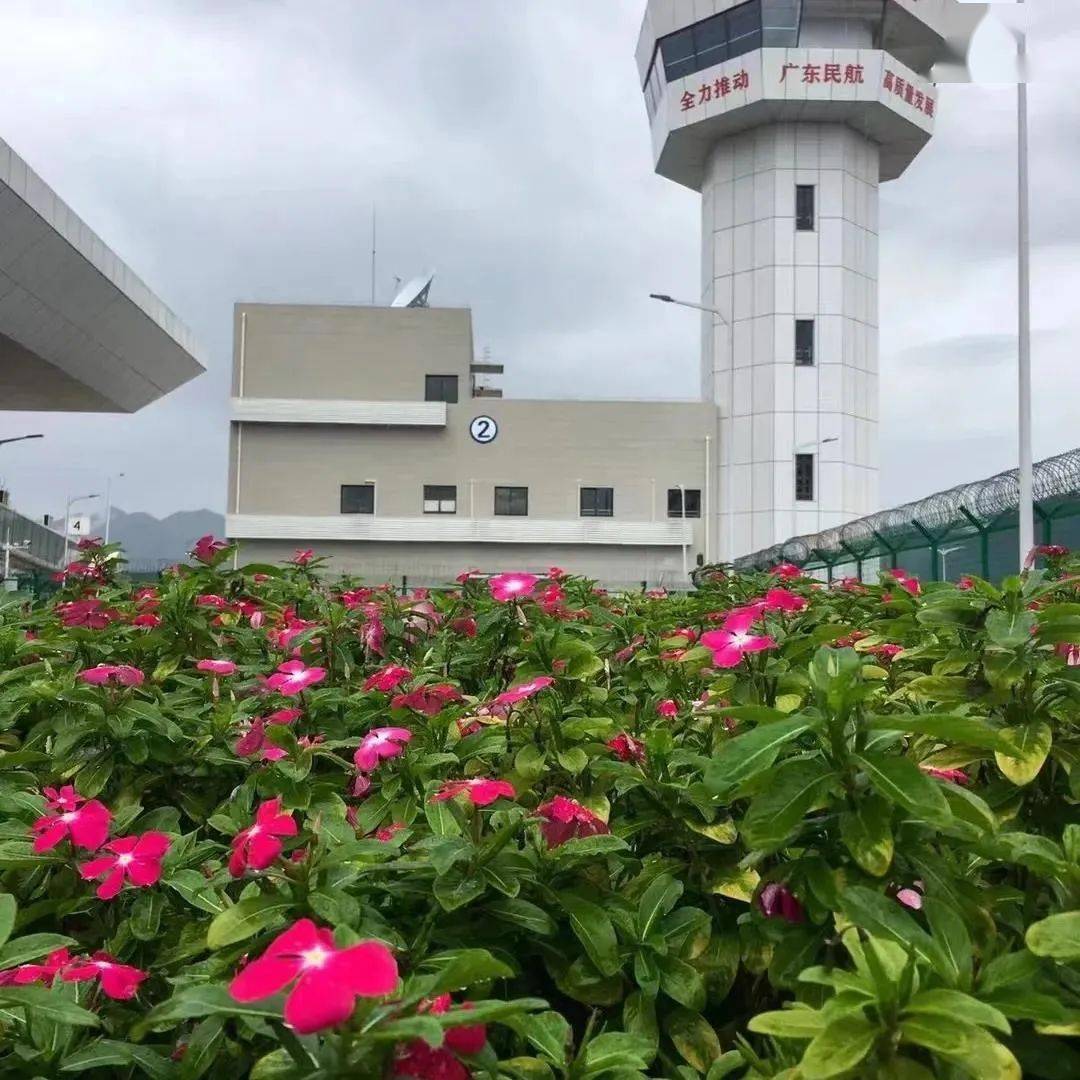 内乡县机场图片