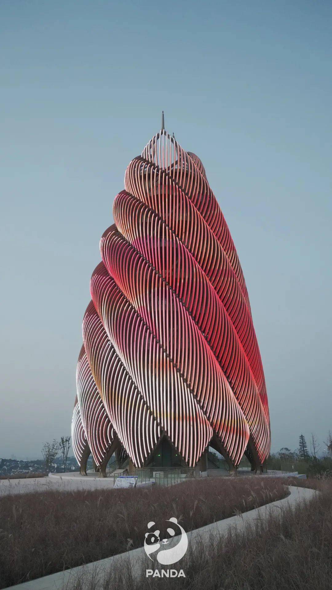 准备好了 所谓春笋 蓄势而待发 熊猫基地 成都 弧形