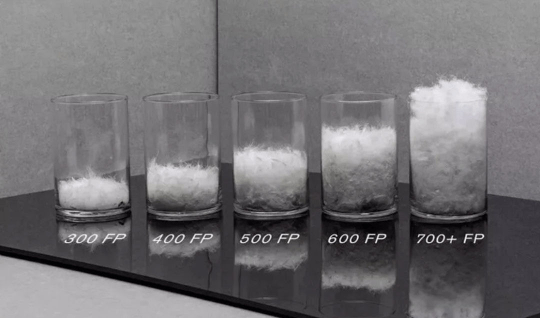 Moncler羽绒服怎么选？看完你就懂了！