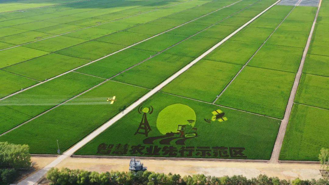 在适度规模中增收 在统营统销中增效 ——红卫农场有限公司全力打造