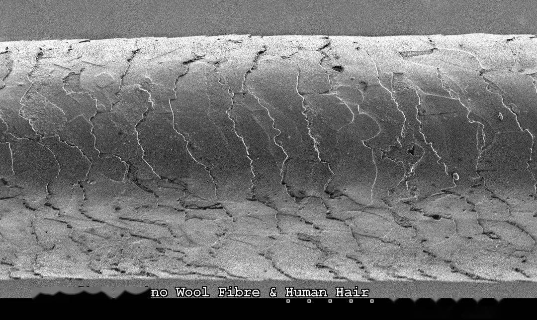 作用|洗头冲水时冲下好些头发，这是要秃了吗？