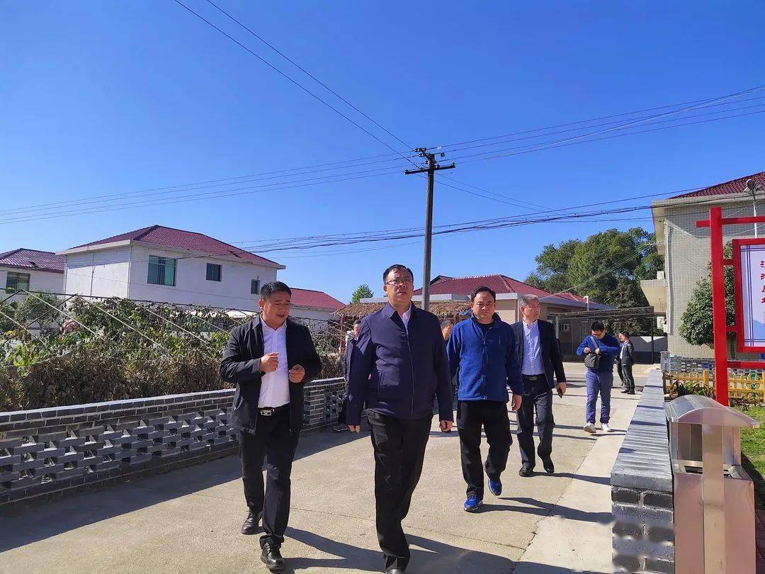 秦跃平前往沿溪镇沙龙村调研乡村振兴工作