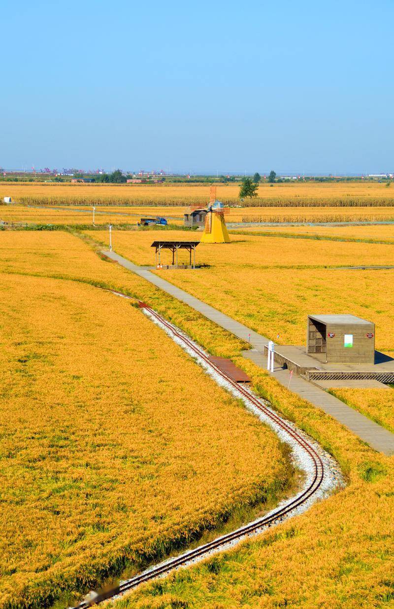 风景|去一个叫：辽宁盘锦的地方