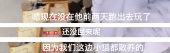 鹦鹉|圈内到底还有没有底线？