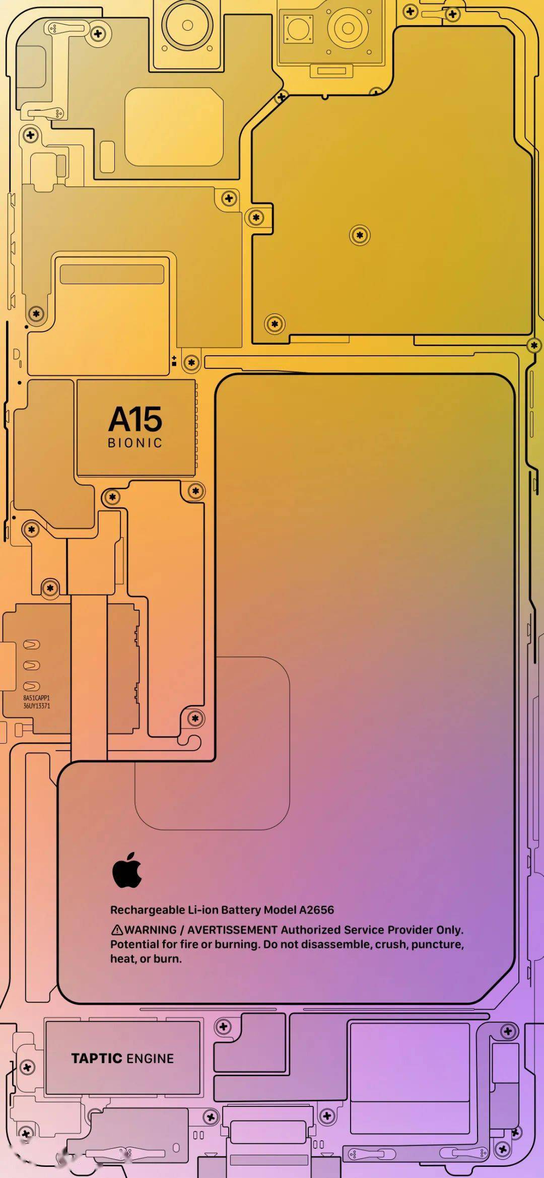 神奇壁纸iphone13内部结构太好看了