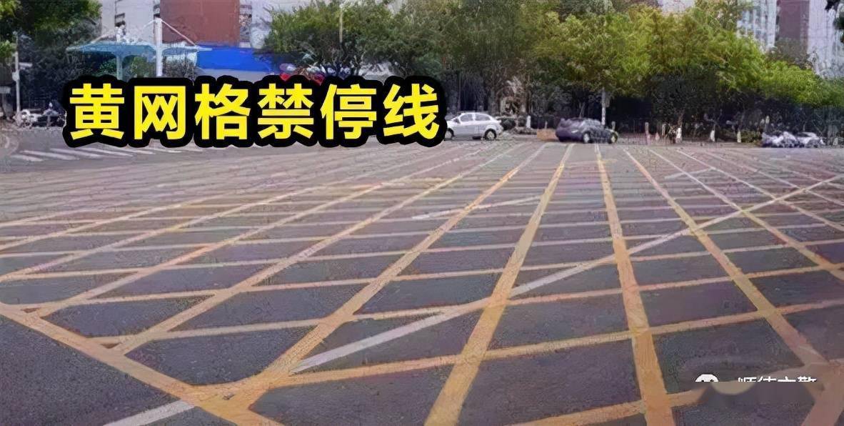 禁停标线路段图片