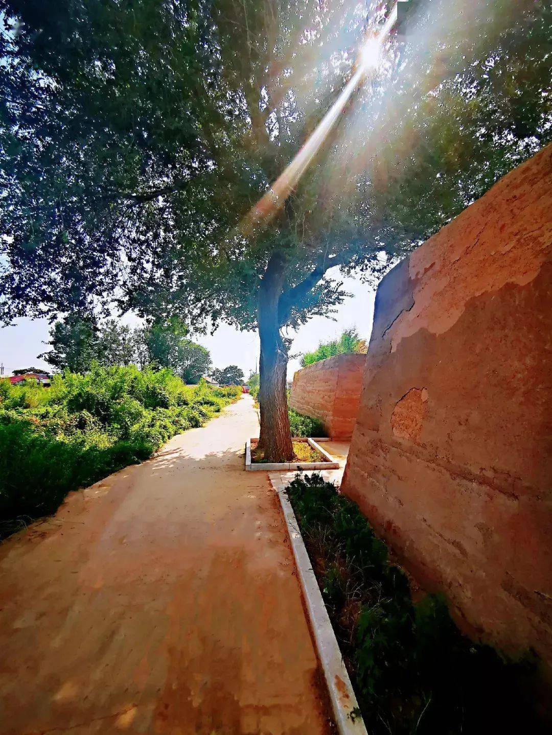 龙口黄城东南有座古城曾是古国首都