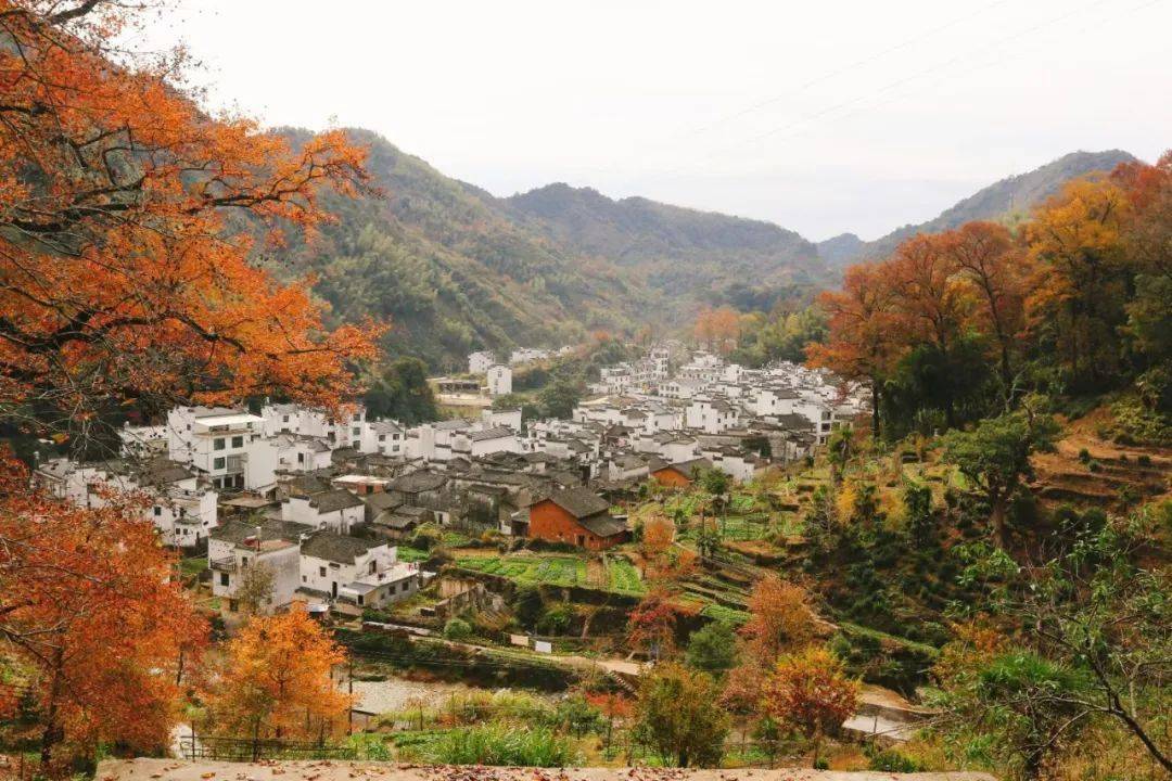 正值婺源深秋,一起来看看一个独特的村庄——长溪村