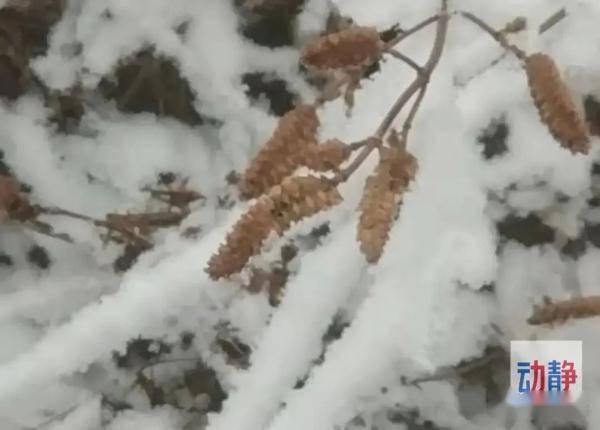 夜间|零下5℃，贵州此地冰天雪地！未来三天，冷空气继续来袭！