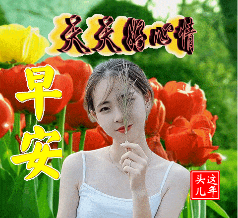 4ee60b34cd8b496fb67497aab978b3f6.gif