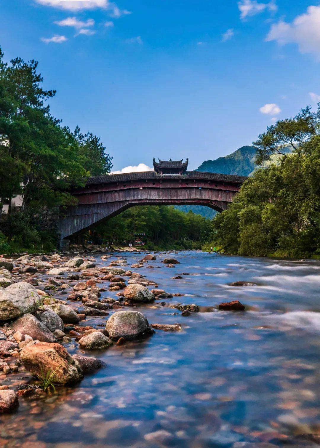 兰溪桥周勇/摄如龙桥叶卫舟/摄庆元廊桥分布图来源:中国国家地理除了