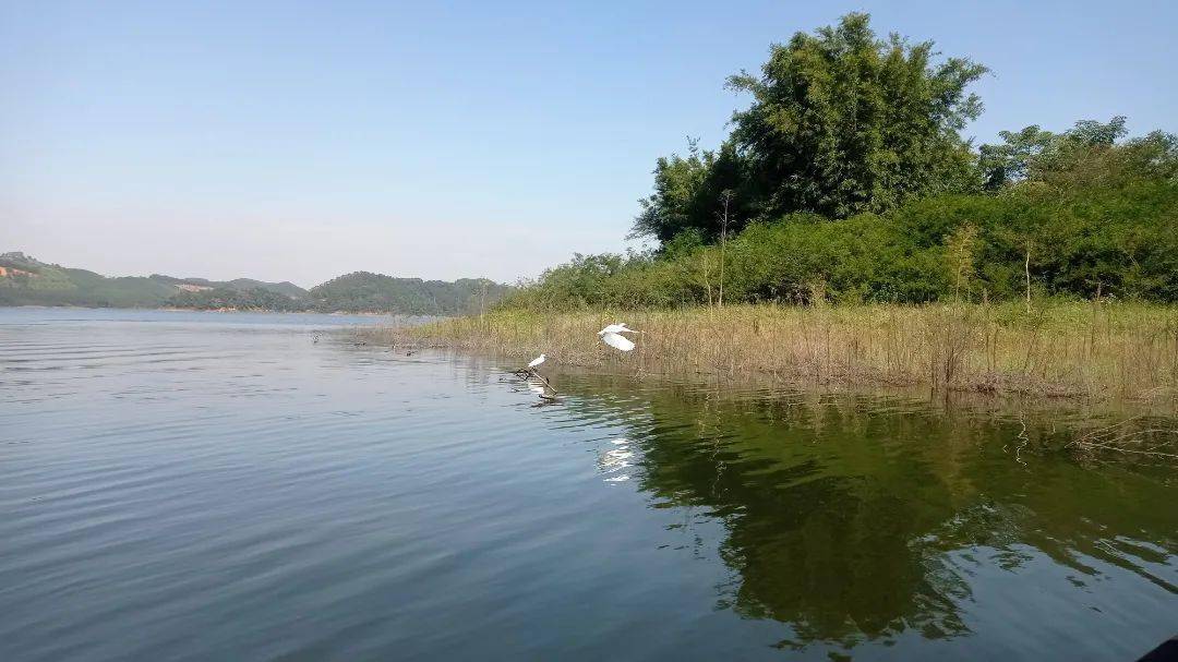 大王滩湿地公园图片