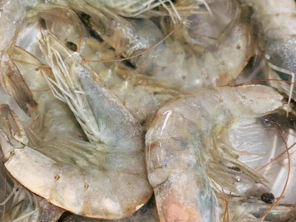 蔬菜|酥香清甜的鲜虾蔬菜饼,一口接一口~