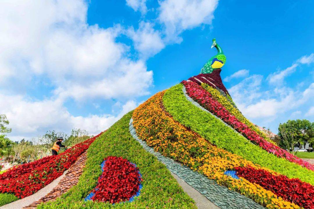 是吉祥如意的代表,亦是云南的象征,昆明世博园花园大道以各色鲜花装点
