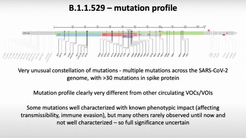 新毒株会不会失控？我们推演了三种可能性