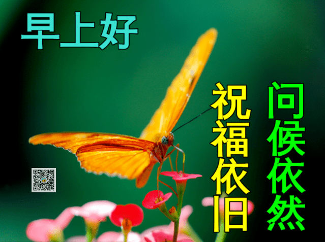 11月29日最新早上好动态表情图片大全冬天早上好问候语