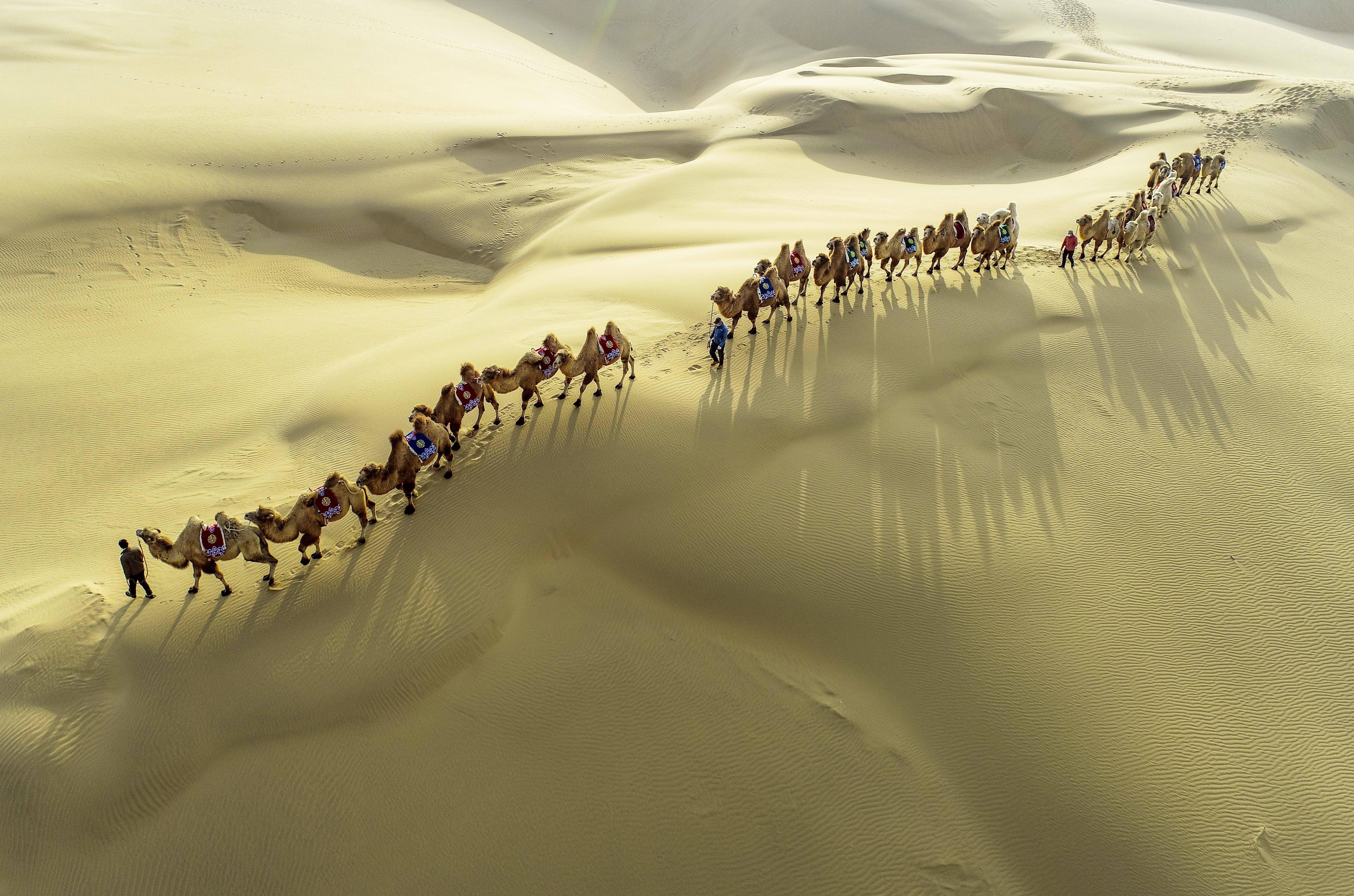 沙漠驼队高清壁纸图片