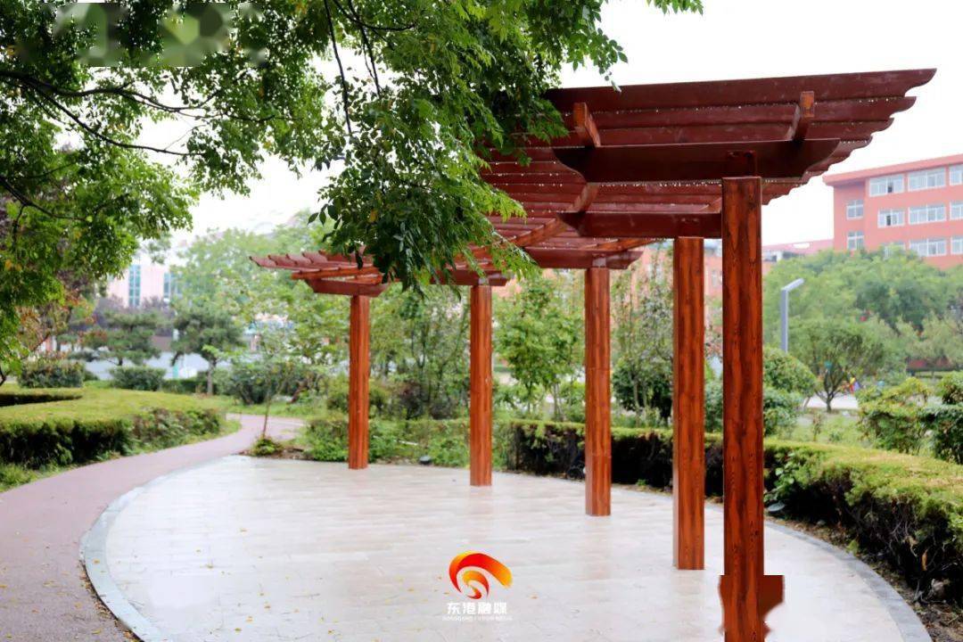 日照大学城,20岁了!_改造_东港区_园区