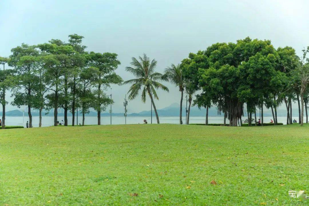 深圳市公園管理中心 對深圳灣公園停車場進行了升級改造 於12月1日起