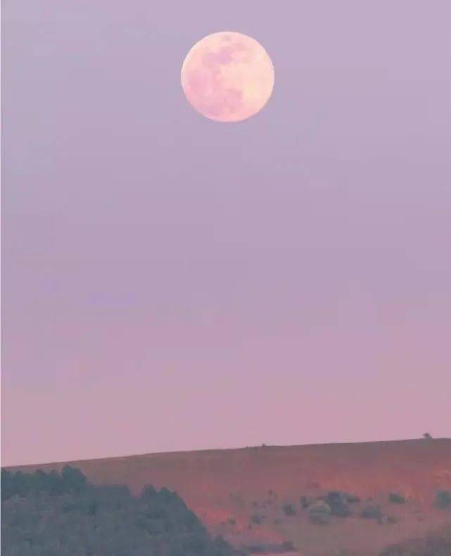 余光中《鱼目集》5,你站在桥上看风景,看风景的人在楼上看你,明月