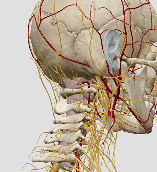 男子去按摩按出脑中风这4类人的脖子碰不得