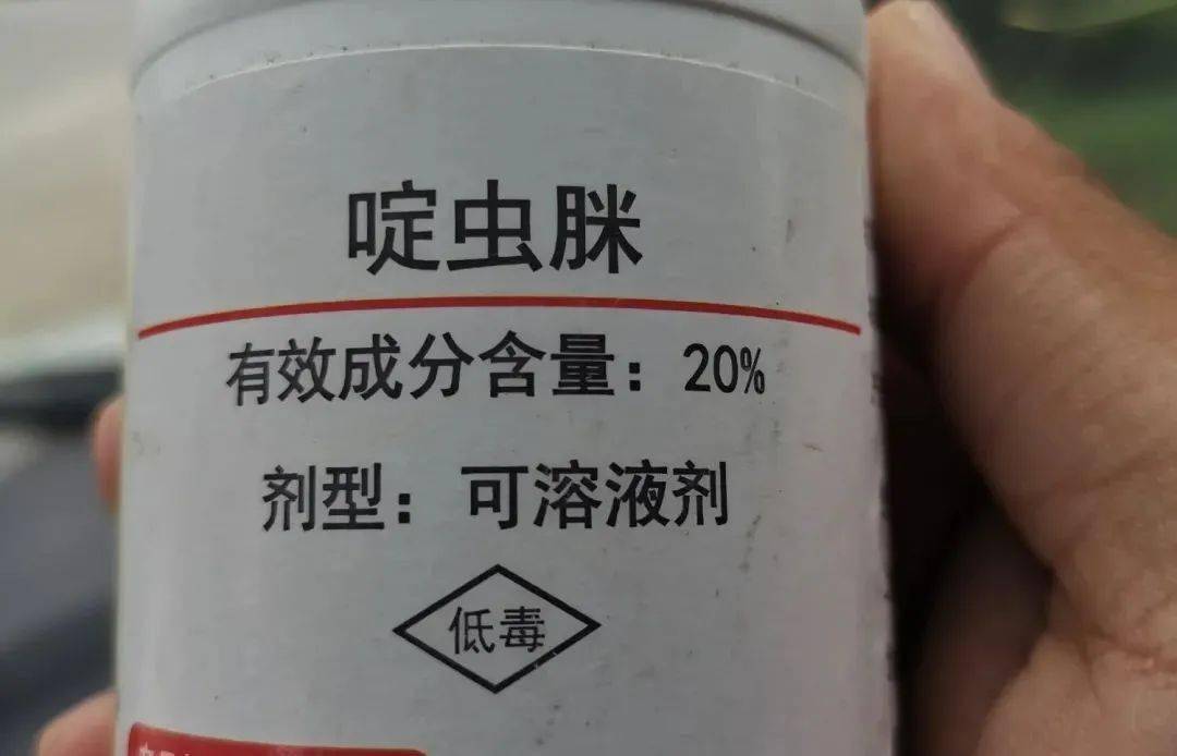 啶蟲脒到底是怎麼殺蟲的?