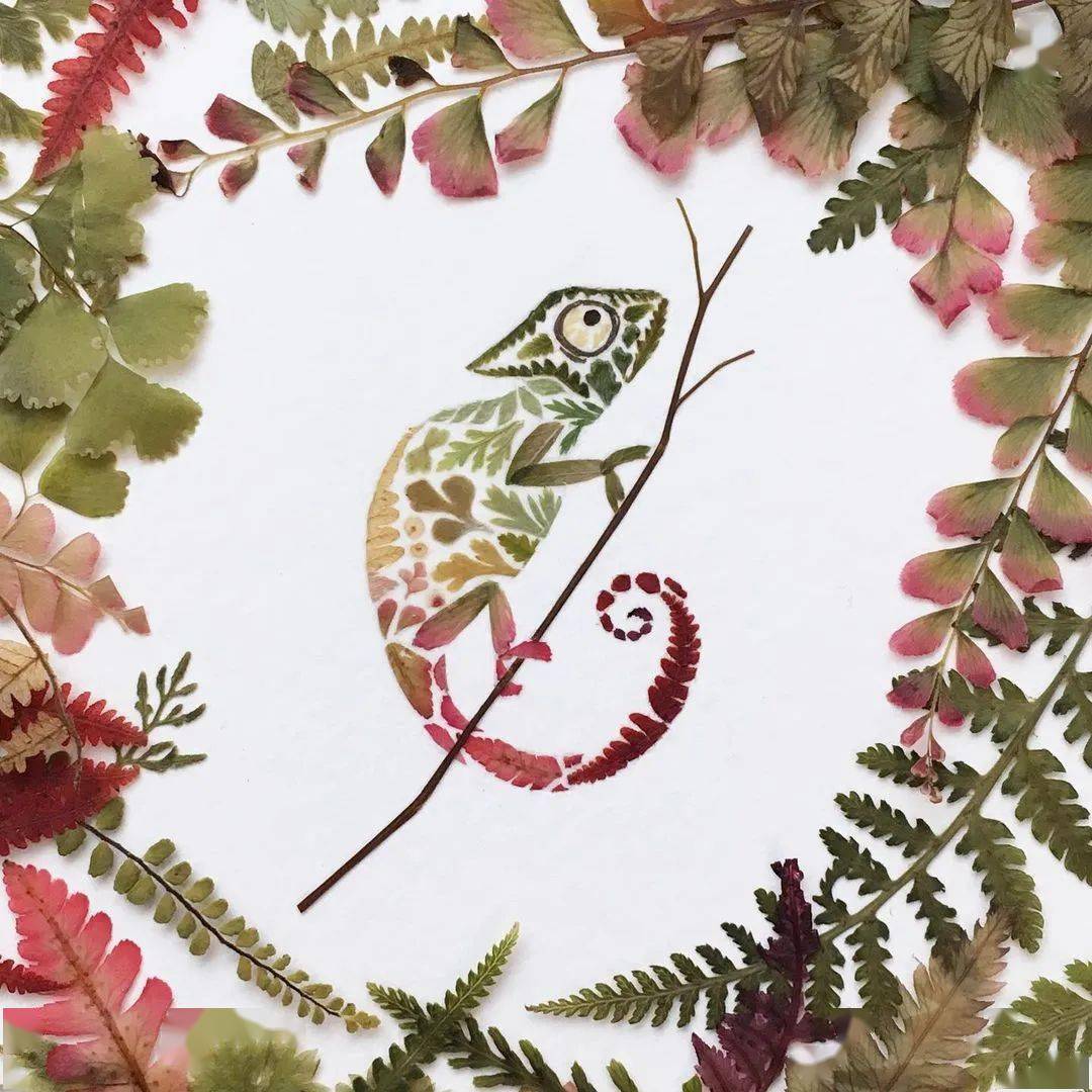 唯美到极致,英国美女艺术家用花草树叶压花制作插画,每一幅都好治愈!