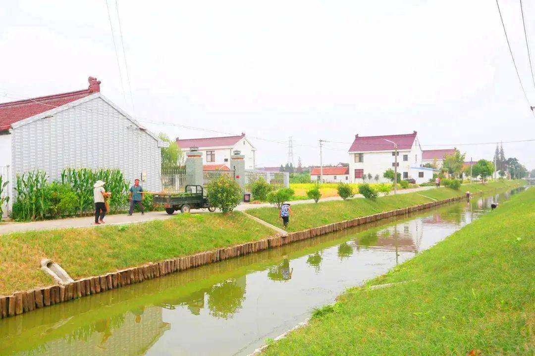 我们的水环境治理正在显成效呦_河道_工程_运河