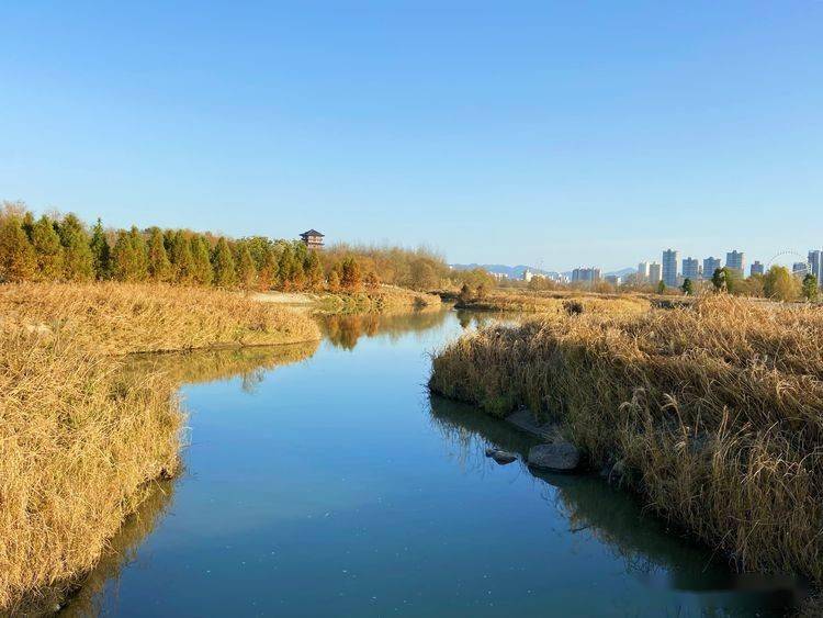 冬日里的天汉湿地公园风景如画