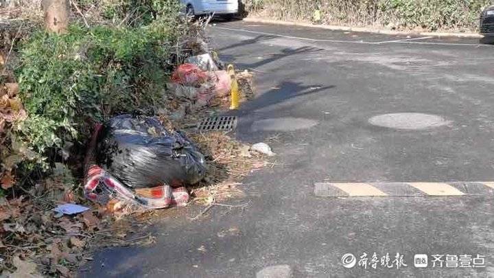 ��ľ����ͷ����֦���ɶѣ�����һС��������ҵ������