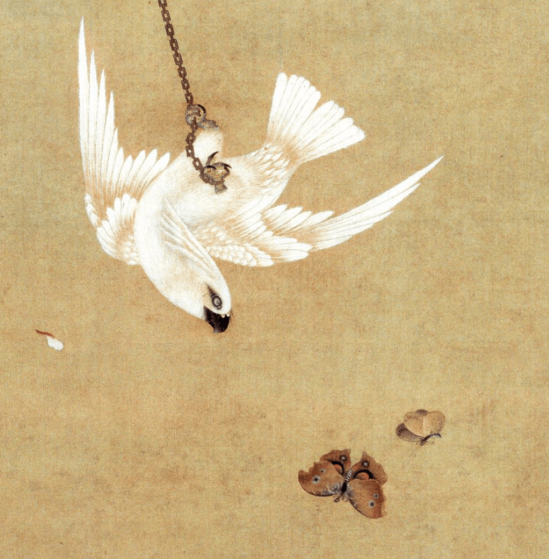 国画里的鹦鹉,太可爱了_五色_于非闇_羽毛