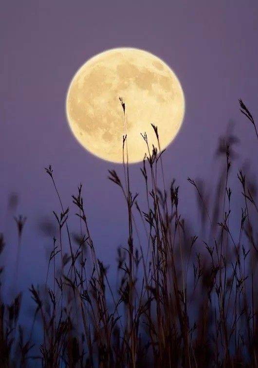 上游文化丨夜雨丨李玮:月圆的时候