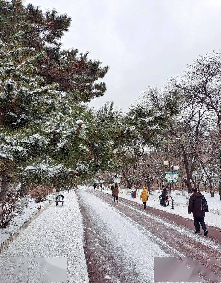 鞍山下雪图片图片