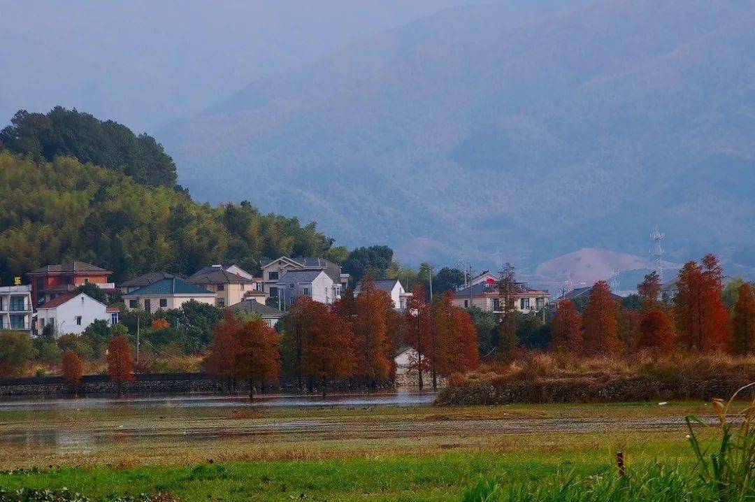 季节|宁波这地方又双叒叕刷屏了！这个季节，美得像画卷~