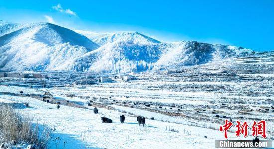 白雪|甘肃榆中冬日冰雪晶莹似童话世界