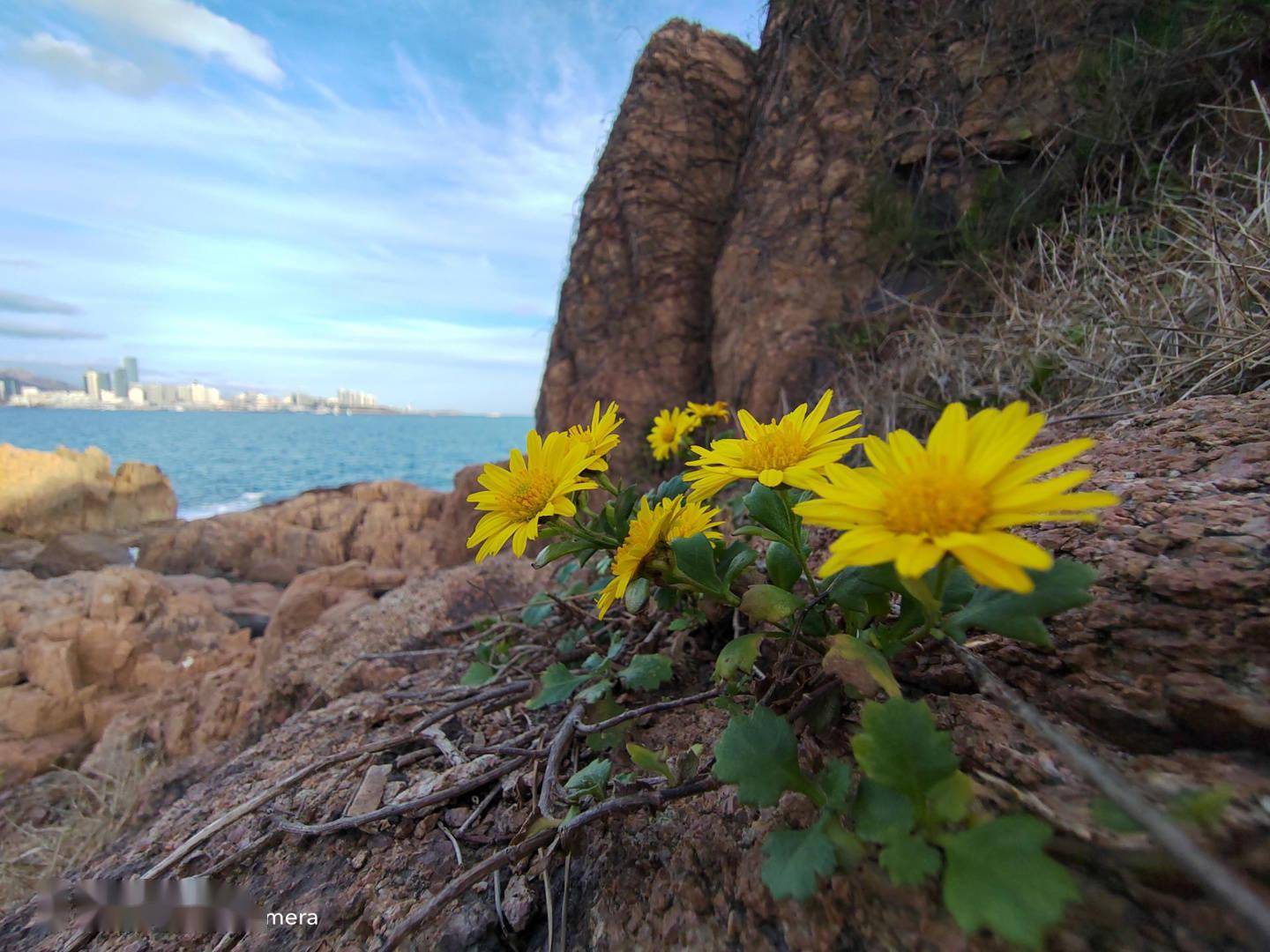 荣耀 60 Pro 首发评测：美学基因浓厚，影像体验进阶
