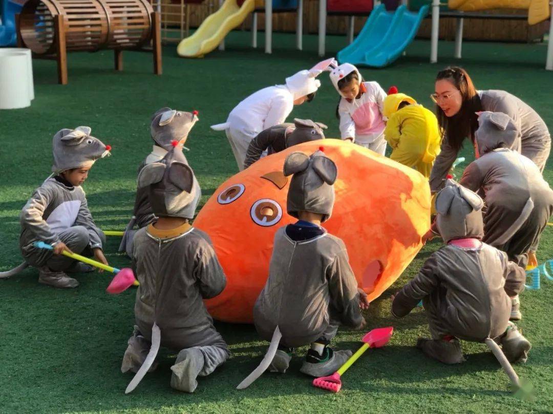 学前教育"111"工作坊特色活动系列展播_幼儿园_成长_绘本